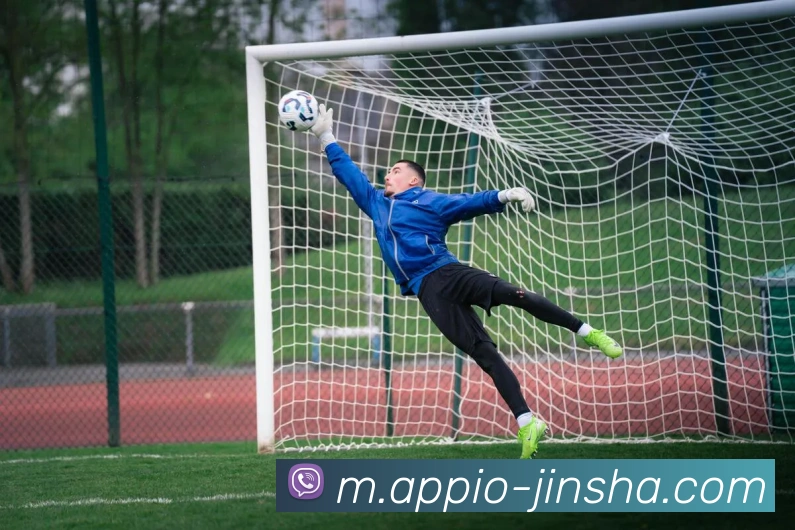 澳门金沙官网全站App